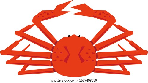 Crab vector illustration . Snow crab .