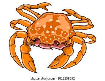 crab vector illustration,isolated on white background,top view