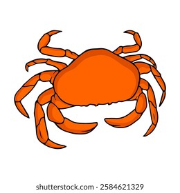 crab vector illustration,isolated on white background,top view