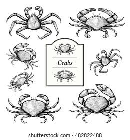 Crab Vector Illustrations in Woodcut/etched style