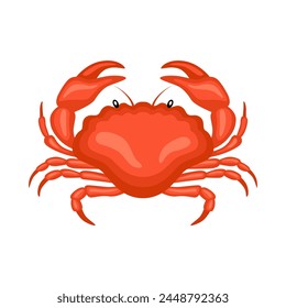 Crab vector isolated on white background. Steamed crab illustration.