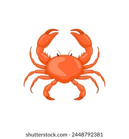 Crab vector isolated on white background. Steamed crab illustration.