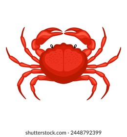 Crab vector isolated on white background. Steamed crab illustration.