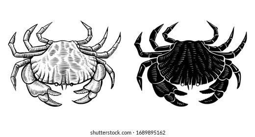 Crab vector silhouette and hand drawn illustration. Vintage engraving style. Black and white sketch.