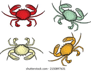 Crab vector sketch to illustration object for t-shirt design etc