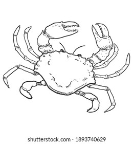 Crab Vector Sketch Illustration on White Background