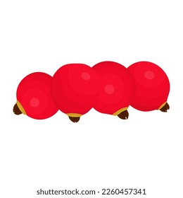 Crabapple Fruit Is A Fruit That Has A Slightly Sweet And Sour Taste. Usually This Fruit Grows In The United States, Canada, And The European region.
