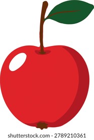 Crabapple fruit vector illustration isolated on white background.