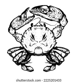 Crabby crab emblem. Transparency friendly illustration isolated on white background. Hand drawn