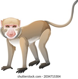 Crab-eating macaque in cartoon style on white background illustration
