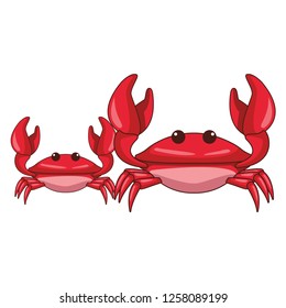 Crabs beach animals cartoon