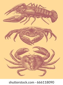 Crabs and crawfish. Design set. Hand drawn engraving. Vector vintage illustration. Isolated on color background. 8 EPS