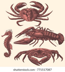 Crabs and crawfish. Design set. Hand drawn engraving. Vector vintage illustration. Isolated on light background. 8 EPS