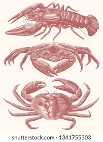Crabs. Design set. Hand drawn engraving. Editable vector vintage illustration. Isolated on light background. 8 EPS 