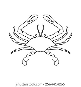 Crabs line art vector illustration. Seafood crab in outline for icon, logo, symbol .