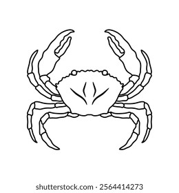 Crabs line art vector illustration. Seafood crab in outline for icon, logo, symbol .