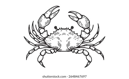 Crabs line art vector illustration. Seafood crab in outline for icon, logo, symbol .