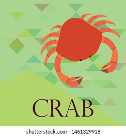 Crabs. Seafood. Vector illustration of a sea animal.
