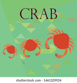 Crabs. Seafood. Vector illustration of a sea animal.