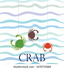Crabs. Seafood. Vector illustration of a sea animal.