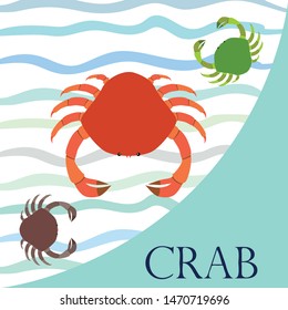 Crabs. Seafood. Vector illustration of a sea animal.