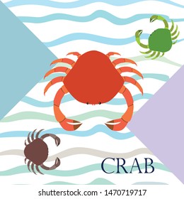 Crabs. Seafood. Vector illustration of a sea animal.