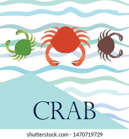 Crabs. Seafood. Vector illustration of a sea animal.