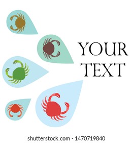 Crabs. Seafood. Vector illustration of a sea animal.