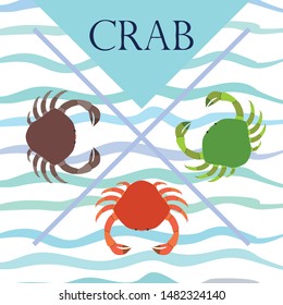 Crabs. Seafood. Vector illustration of a sea animal.