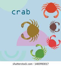 Crabs. Seafood. Vector illustration of a sea animal.