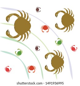Crabs. Seafood. Vector illustration of a sea animal.