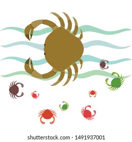 Crabs. Seafood. Vector illustration of a sea animal.