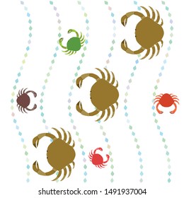 Crabs. Seafood. Vector illustration of a sea animal.