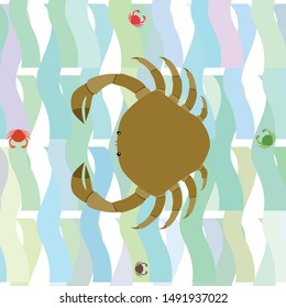 Crabs. Seafood. Vector illustration of a sea animal.