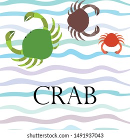 Crabs. Seafood. Vector illustration of a sea animal.