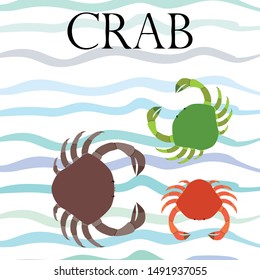 Crabs. Seafood. Vector illustration of a sea animal.