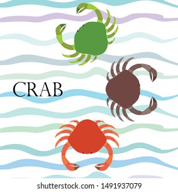 Crabs. Seafood. Vector illustration of a sea animal.