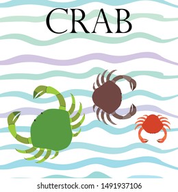 Crabs. Seafood. Vector illustration of a sea animal.