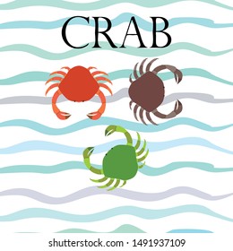Crabs. Seafood. Vector illustration of a sea animal.