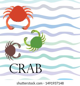 Crabs. Seafood. Vector illustration of a sea animal.