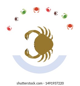 Crabs. Seafood. Vector illustration of a sea animal.