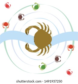 Crabs. Seafood. Vector illustration of a sea animal.