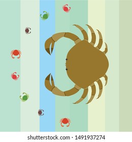 Crabs. Seafood. Vector illustration of a sea animal.