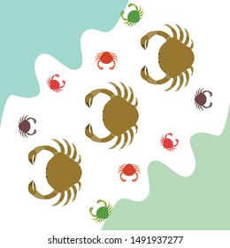 Crabs. Seafood. Vector illustration of a sea animal.