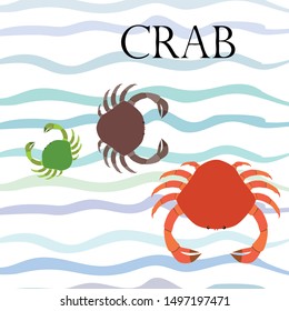 Crabs. Seafood. Vector illustration of a sea animal.