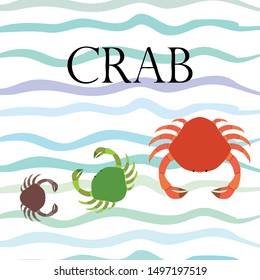 Crabs. Seafood. Vector illustration of a sea animal.