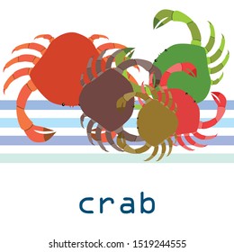 Crabs. Seafood. Vector illustration of a sea animal.