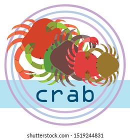 Crabs. Seafood. Vector illustration of a sea animal.
