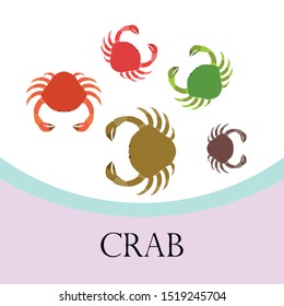 Crabs. Seafood. Vector illustration of a sea animal.