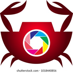 crabs vector logo for multimedia company  camera film maker photography creative company full colour